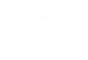 Memorial.website dark theme icon logo